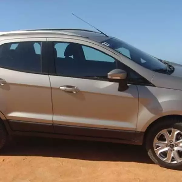 Este crossover es desarrollado en el Centro de Desarrollo de Camacari, Brasil, y pertenece al programa global One Ford.