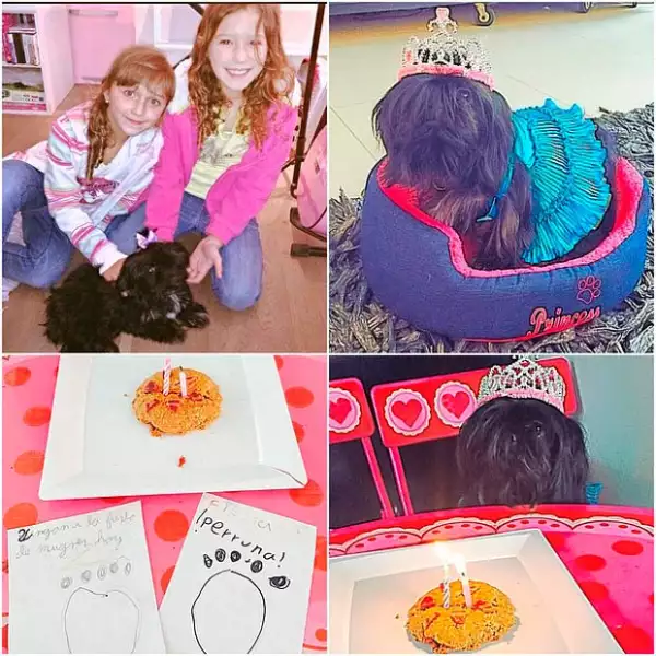 Tras el éxito de la presentación de Erik, la feliz familia festejó el cumpleaños número dos de su mascota.