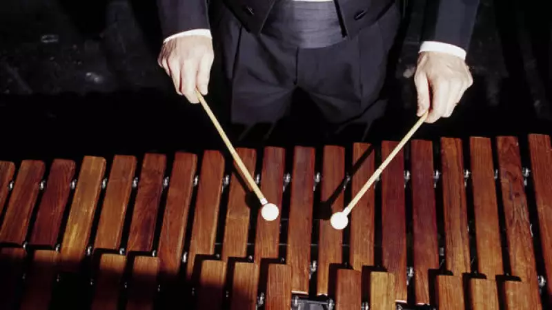 "Shimon", cuyo nombre significa "el que escucha", no sólo es capaz de tocar una marimba; también puede interactuar con músicos humanos