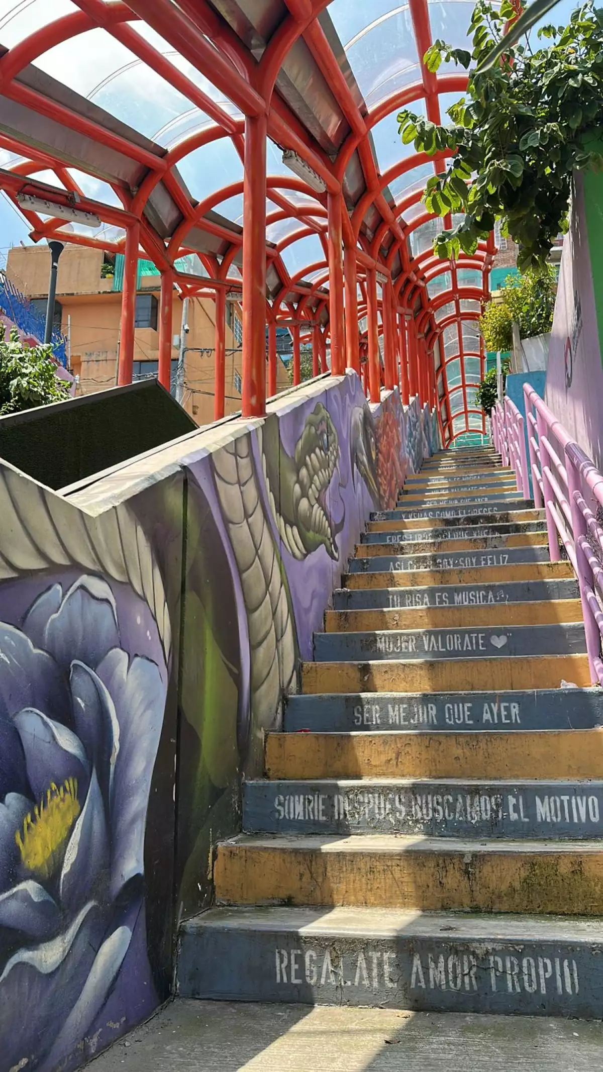 Layda Sansores star work in Álvaro Obregón in abandonment (Mandatory)