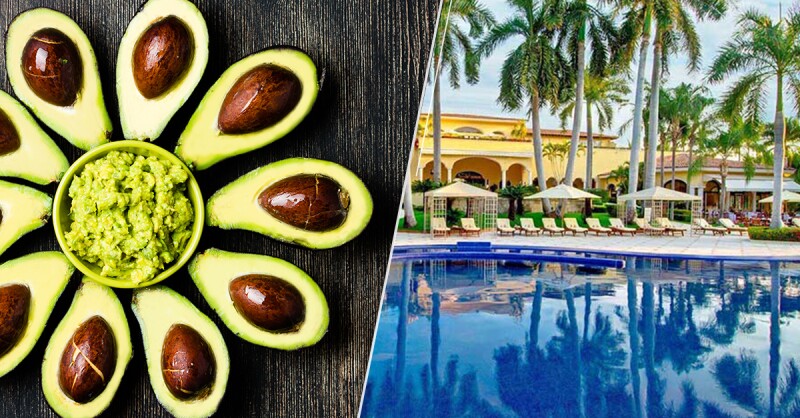 Aguacate