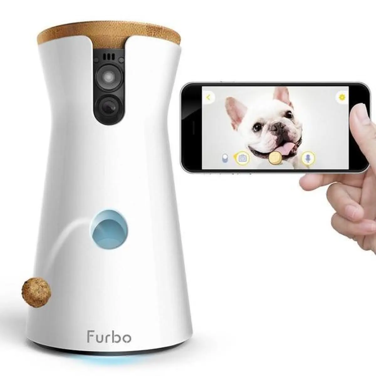 Una cámara para perros