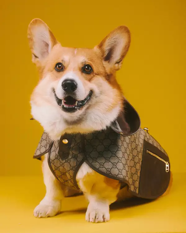 Gucci Lifestyle 1080x13507.jpg