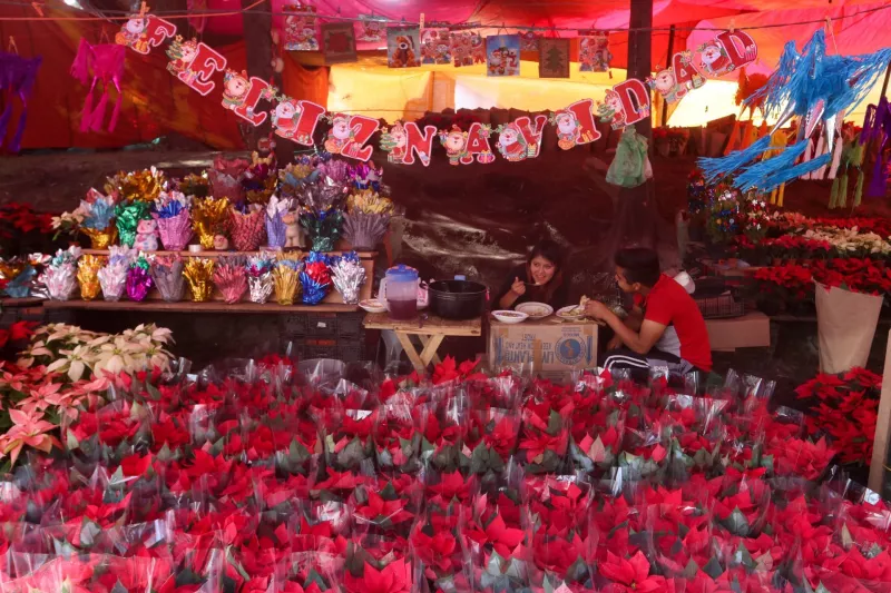 romerias-navidenas-cdmx-2023