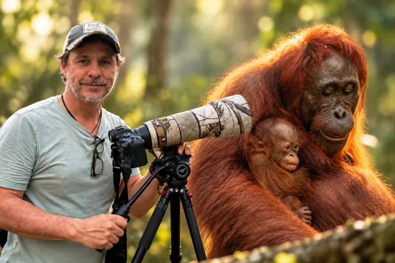 Gerardo del Villar fotografía fauna silvestre en la selva de Borneo, mientras una orangutana de Borneo sostiene a su cría entre la vegetación.