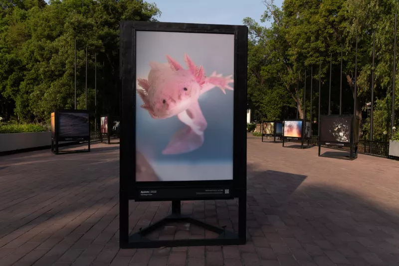 Todo sobre ‘El recuerdo del agua’, la expo fotográfica imperdible en el Bosque de Chapultepec