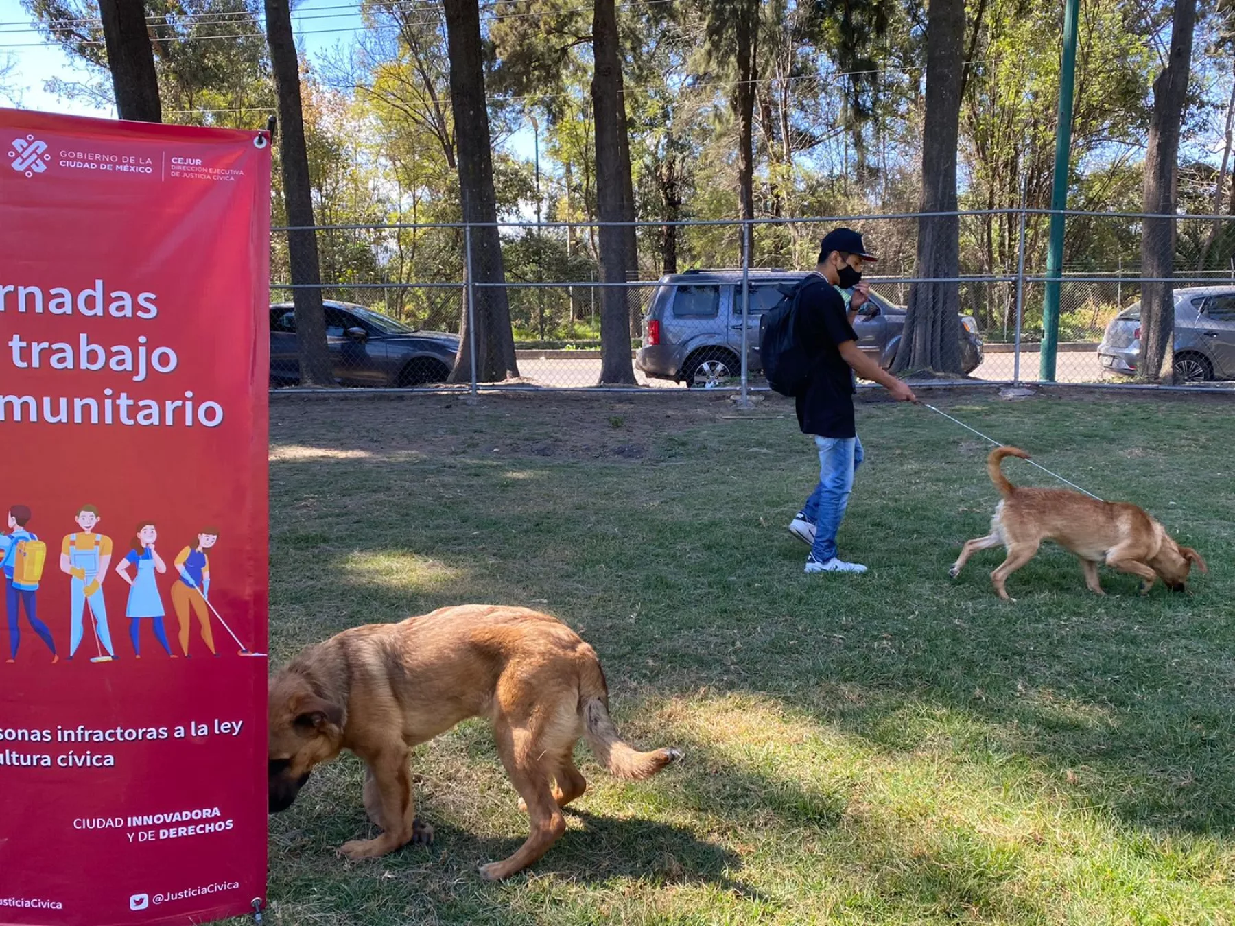 trabajo-comunitario-.jpeg