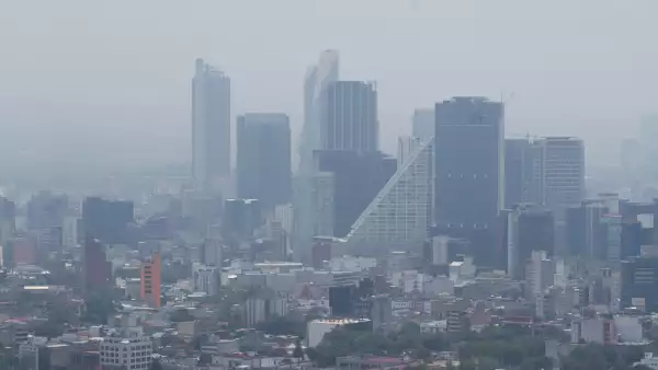 Niegan crisis ambiental