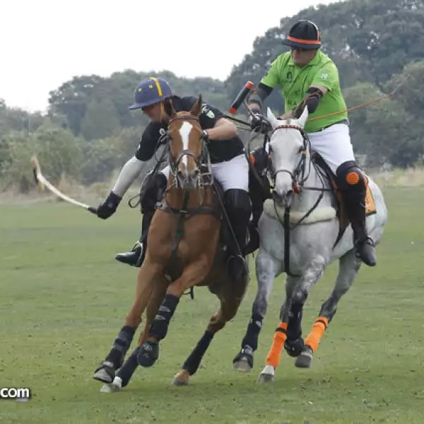 Julio Gracida,Billy Steta