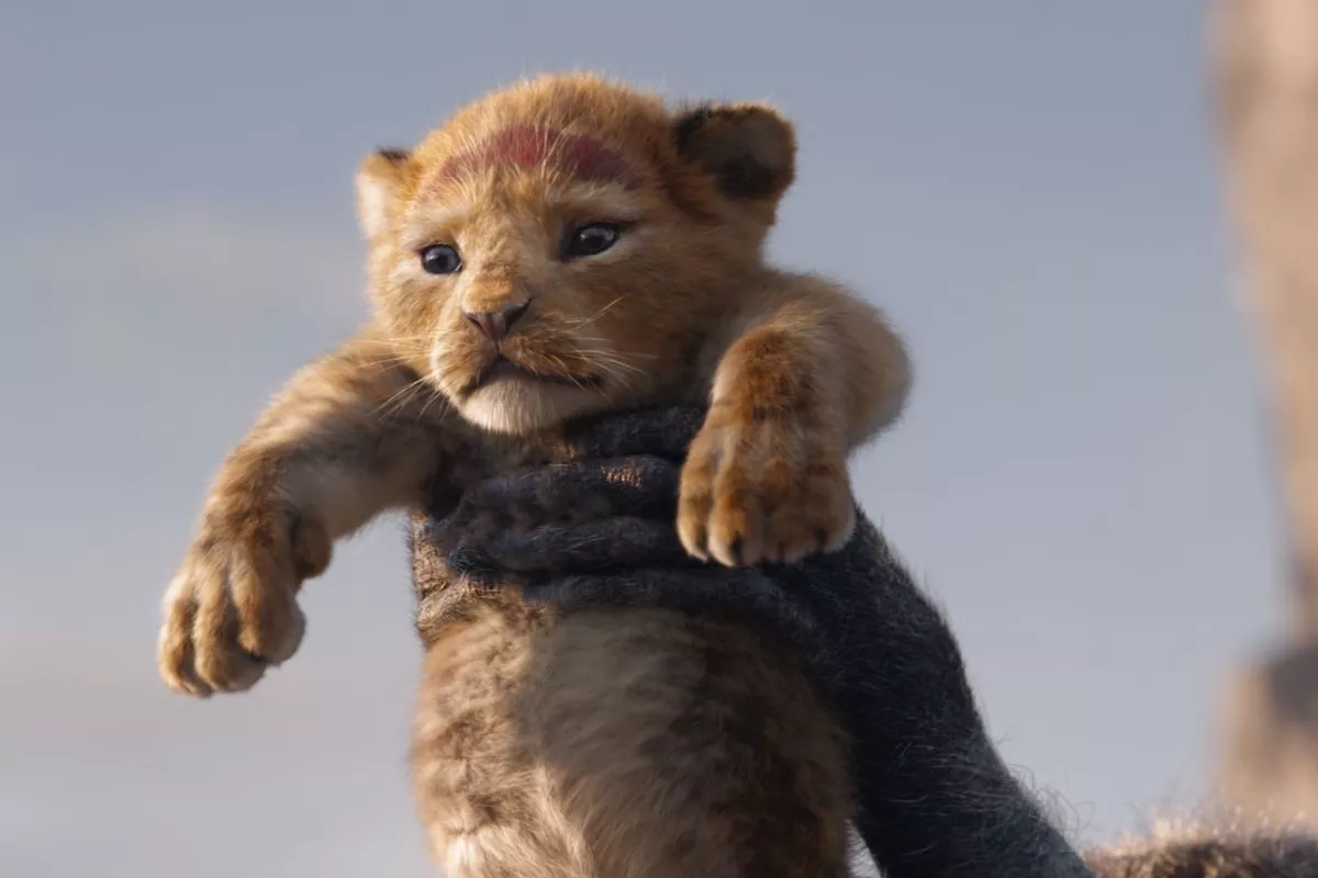 simba.jpg