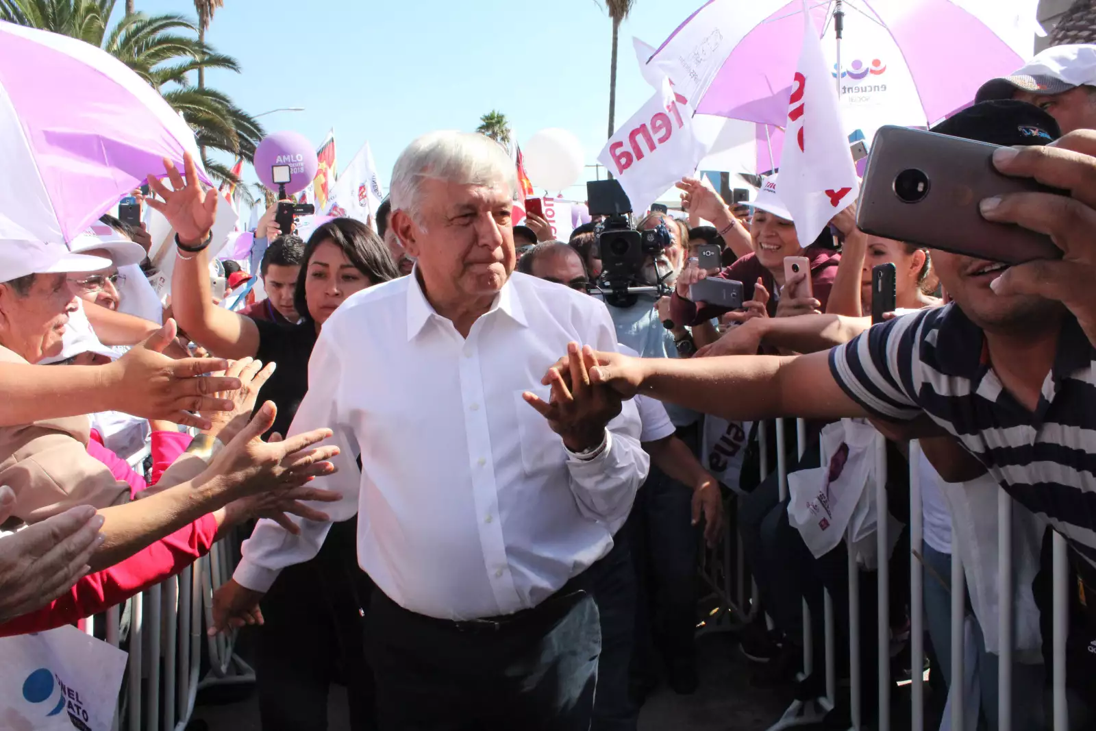 AMLO SLP