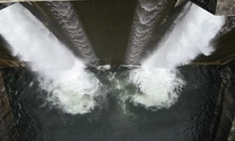 La represa en Portland donde se orinó un hombre también es contaminada con los desechos de patos y animales muertos.  (Foto: SXC )