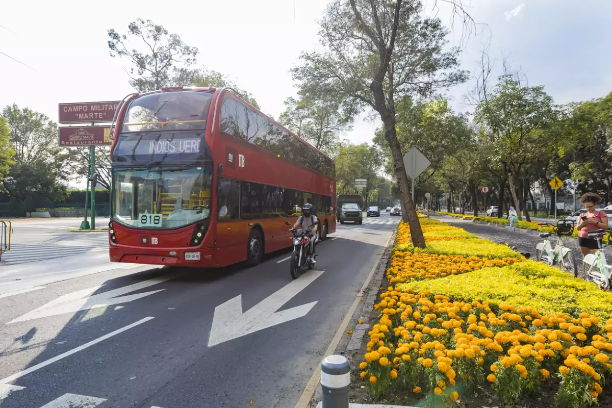 ¿Qué es la Alianza de Movilidad Sostenible en México y cuál es su objetivo?