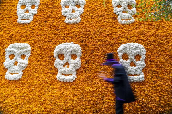 Day Of The Dead In Mexico City