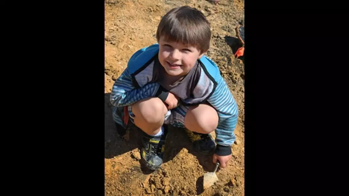 Un niño de cinco años descubrió un nodosaurio cuando excavaba en un centro comercial