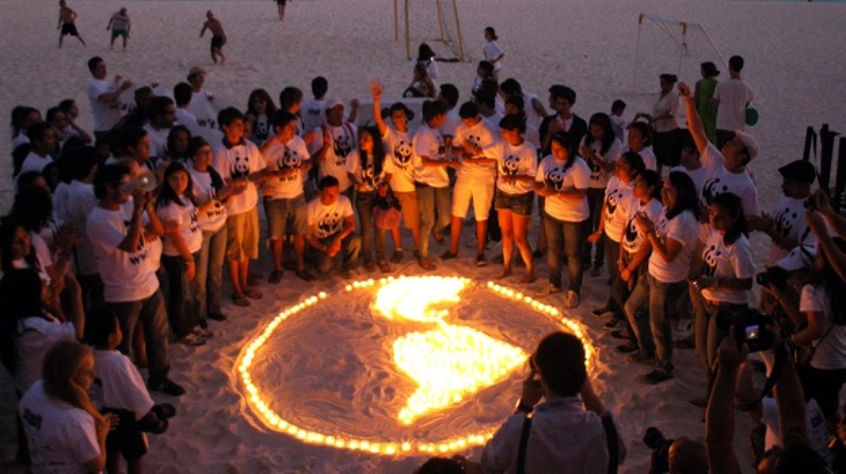 cop 16 cancún wwf