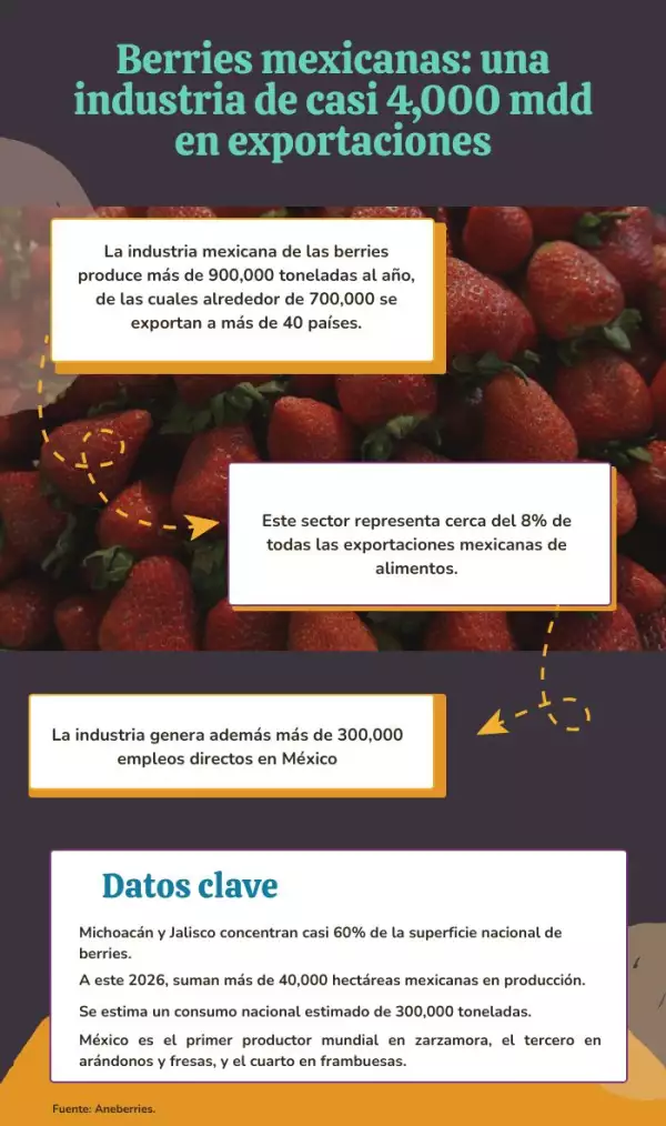 berries mexico.jpg