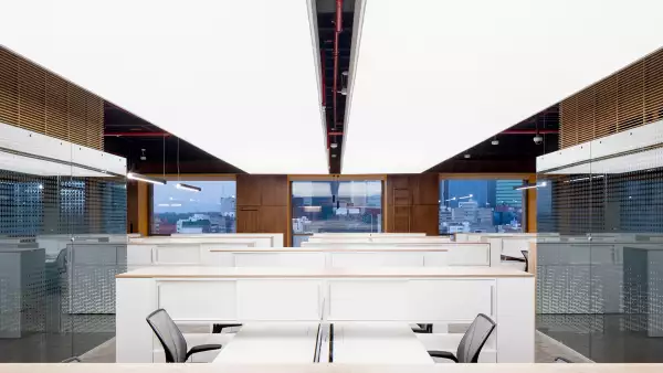 Oficinas Palacio de Hierro, a detalle