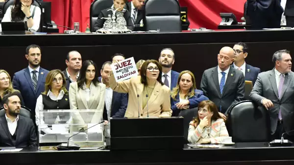 camara de diputados