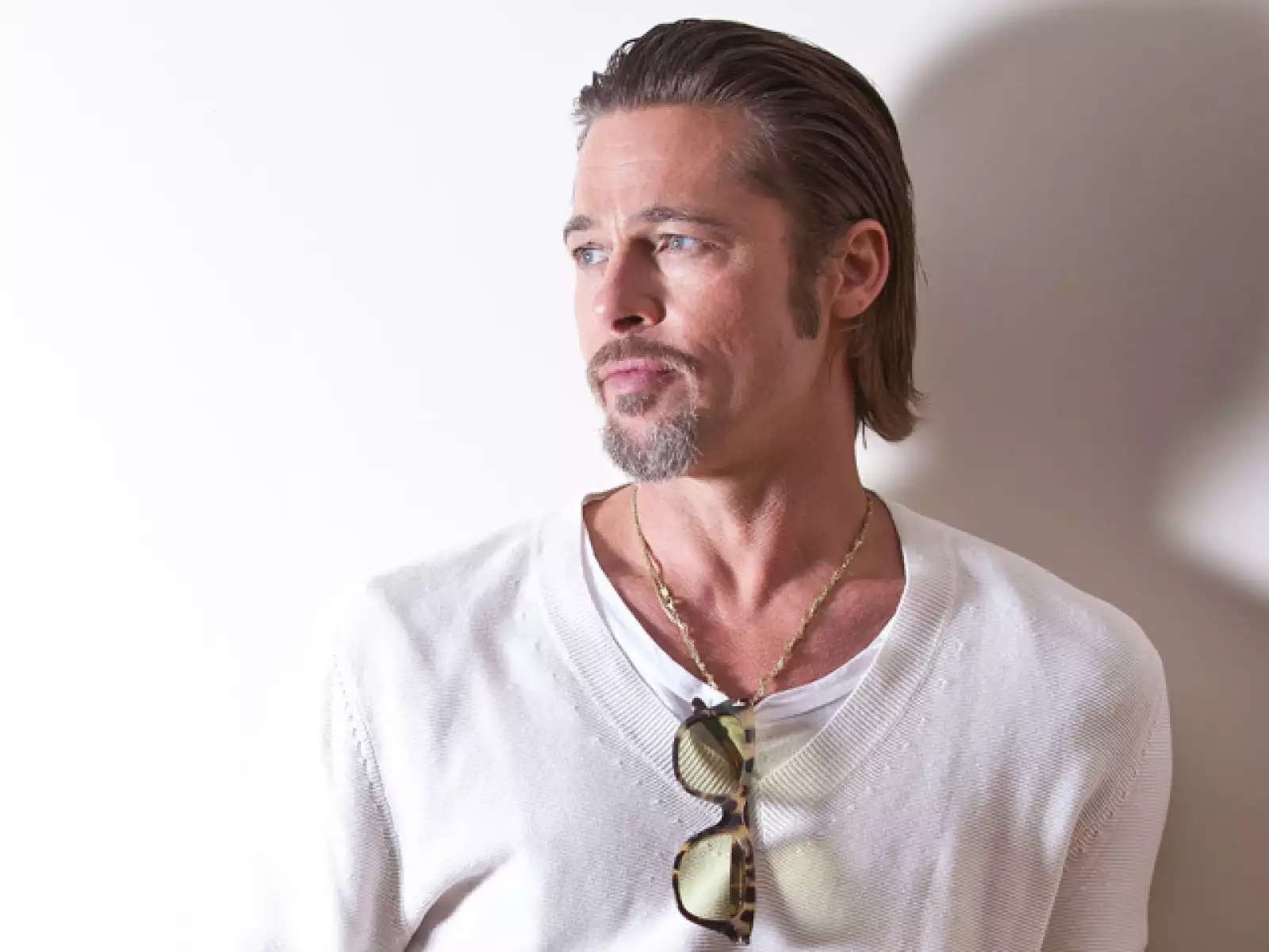 BRAD PITT. Es uno de los más sexys de Hollywood y lo sabe, por ello cualquier look que se ponga se le ve bien y las canas no son la excepción.