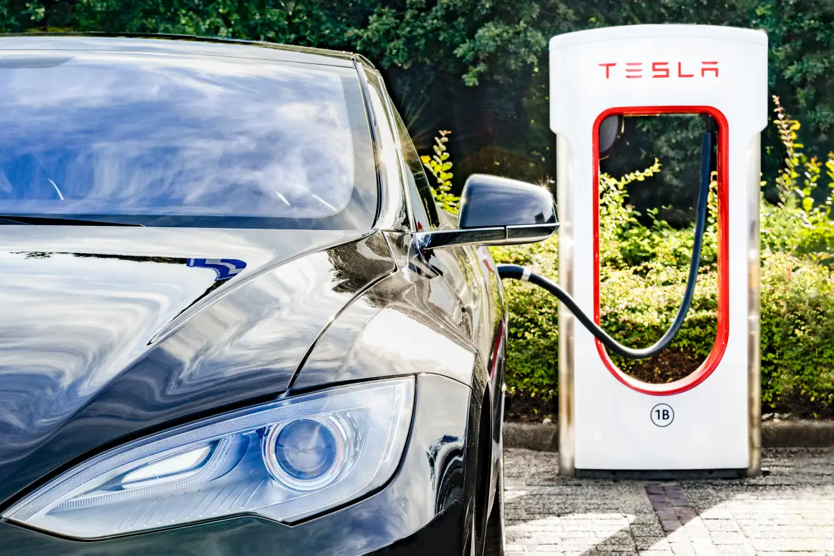 Los coches con piloto automático de Tesla han estado implicados en accidentes. (iStock)