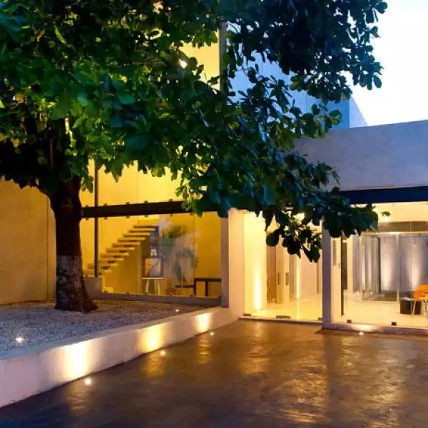 Despacho Sombra Almendro 01