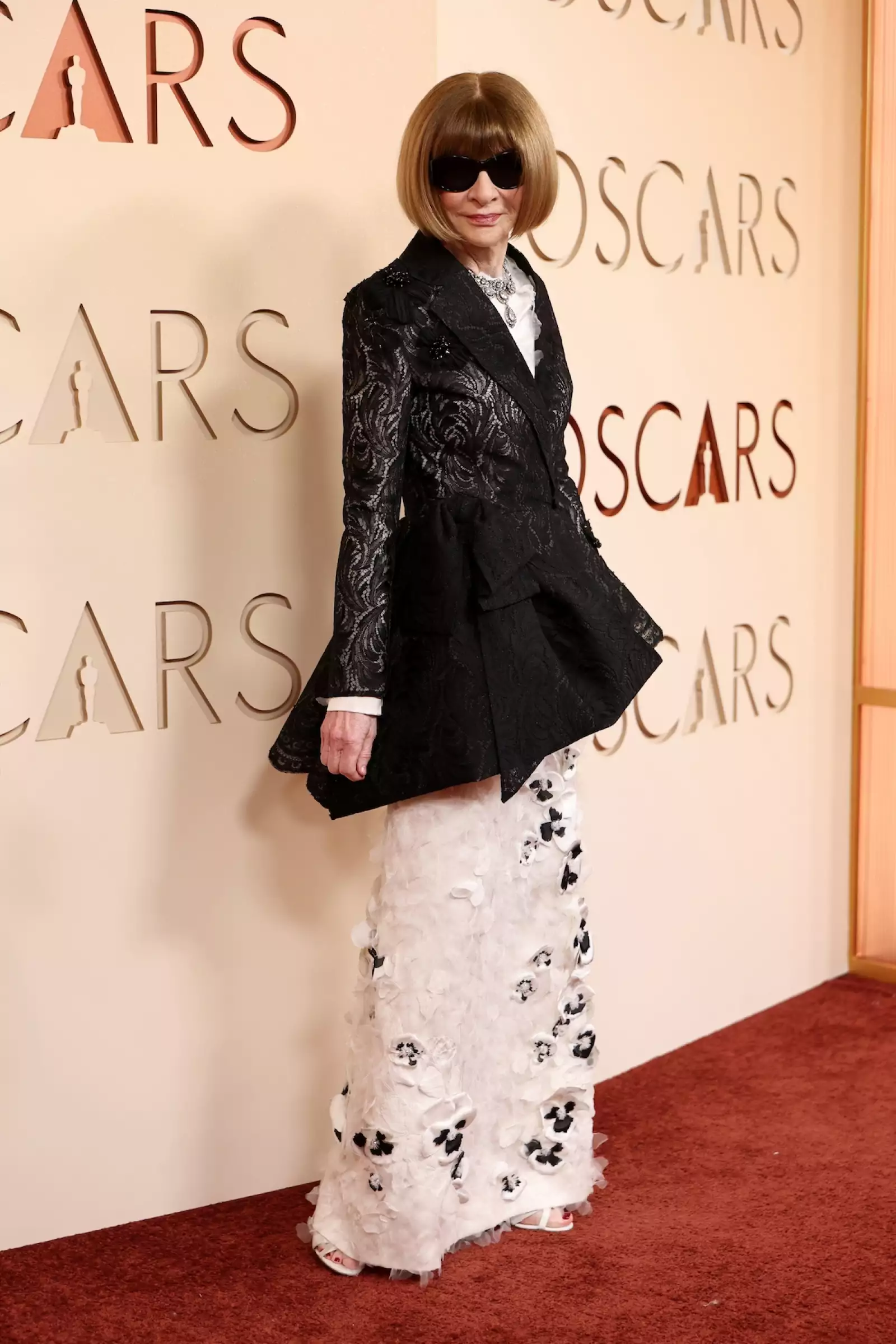 98th Oscars - Arrivals