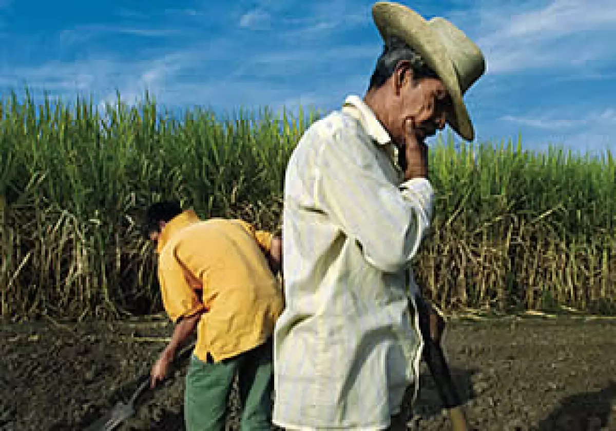 Solamente 5 de cada 100 campesinos son sujetos de crédito. Éste es un nicho no atendido por la banca. (Foto: Procesofoto)
