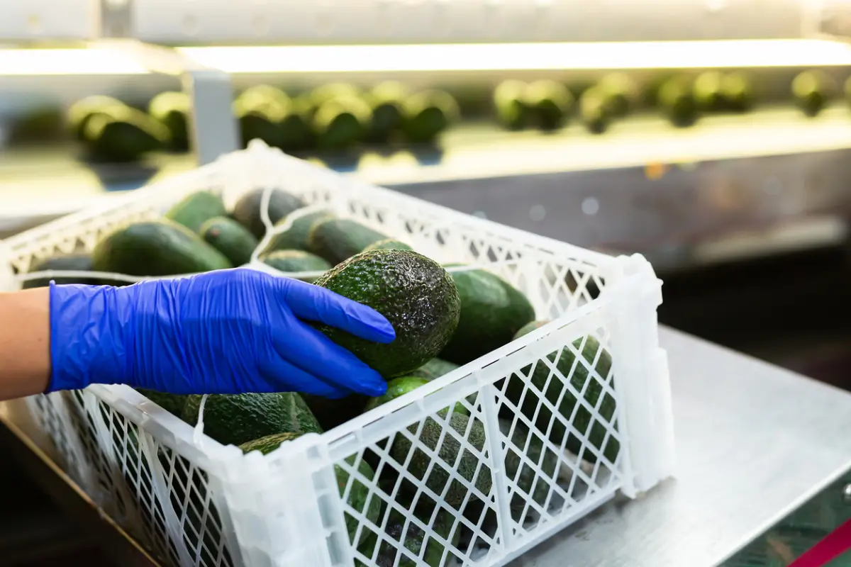 conflicto-laboral-fresh-foods