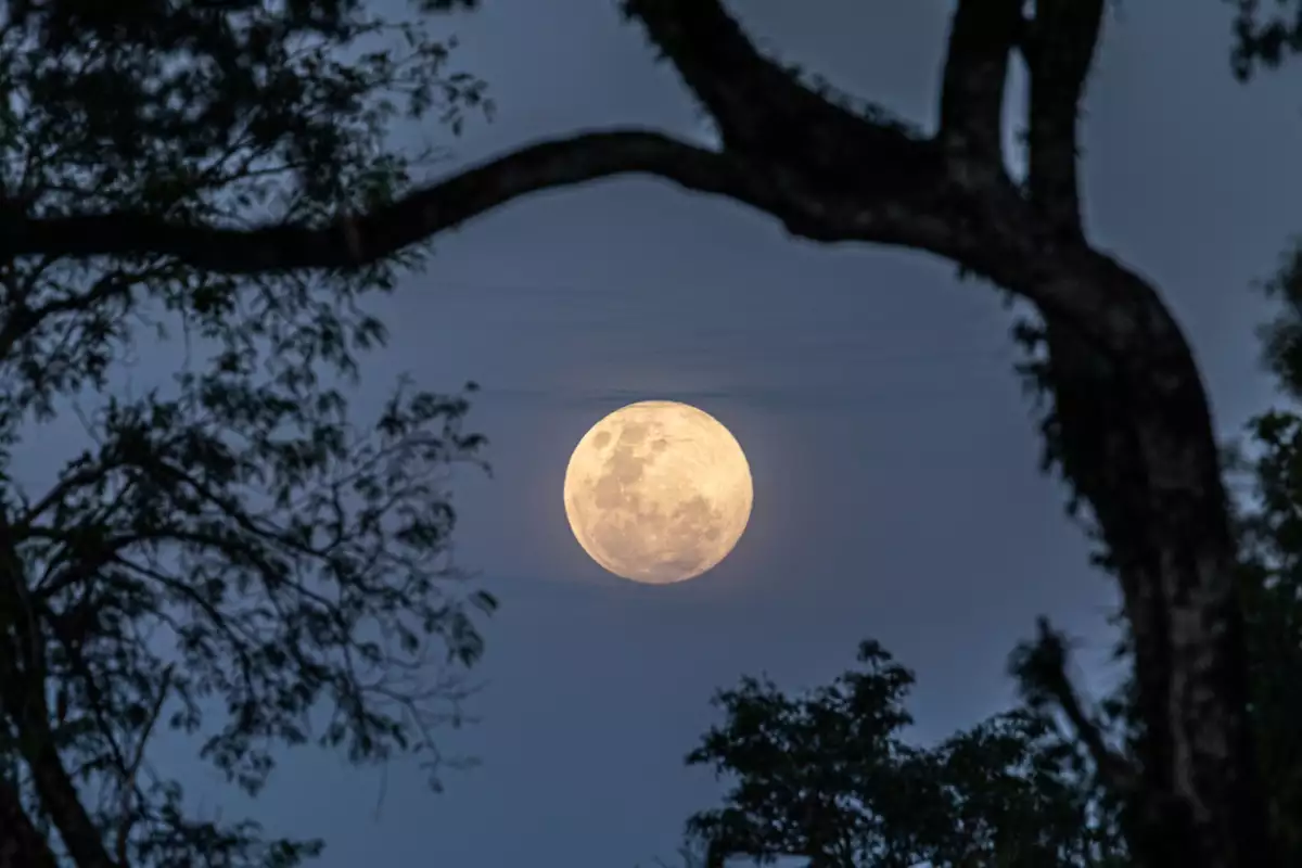 ¿Cuándo es Luna llena en agosto 2025 y por qué se le conoce como Luna de Esturión?
