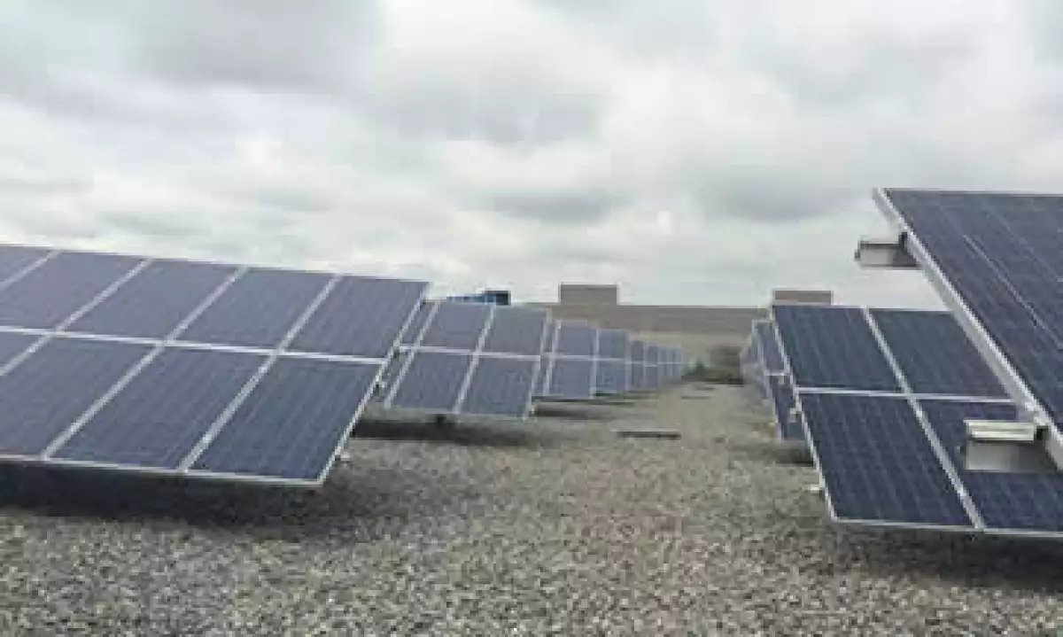 Campo_Solar