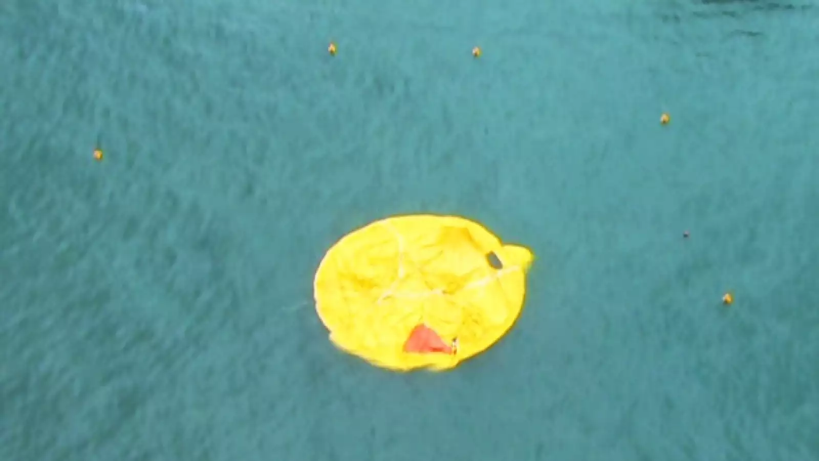 pato hule hong kong 2