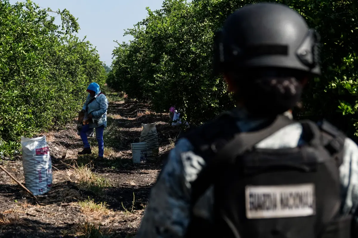 Seguridad Limoneros Michoacán