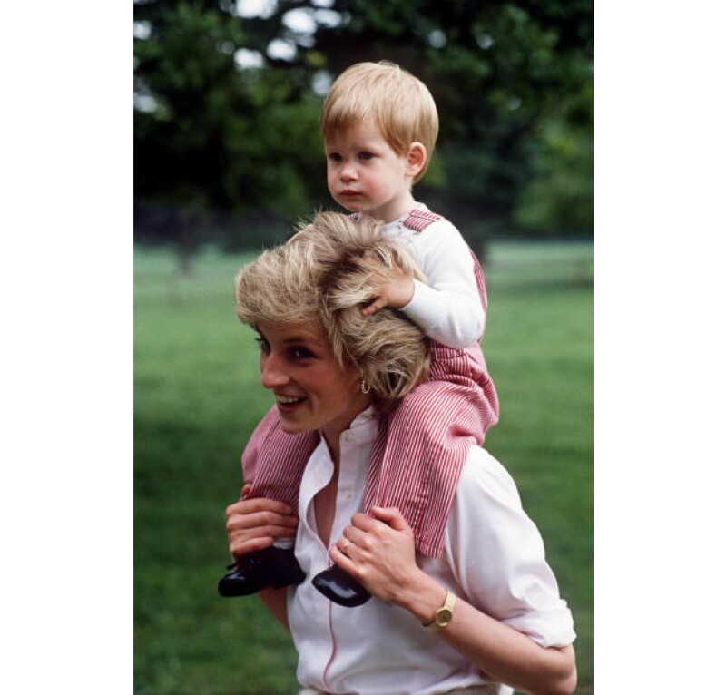 Harry espera que Diana, quien falleció en 1997, esté orgullosa de lo que él y William han hecho.