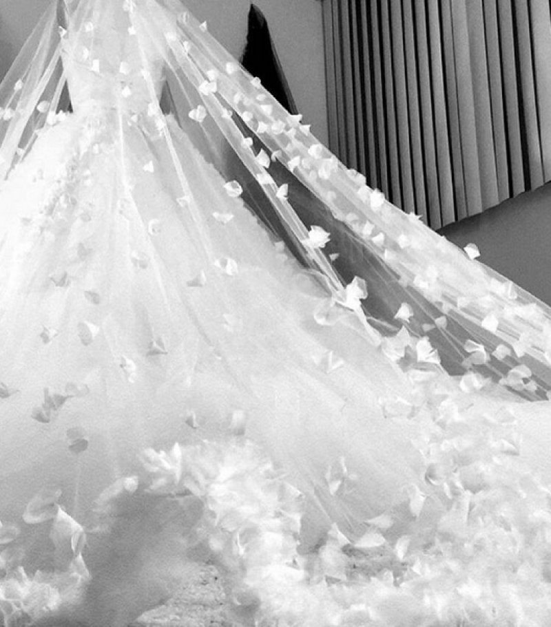 La cantante quiere que su vestido tenga mariposas.