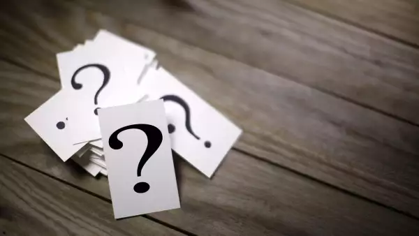¿Qué dijeron?