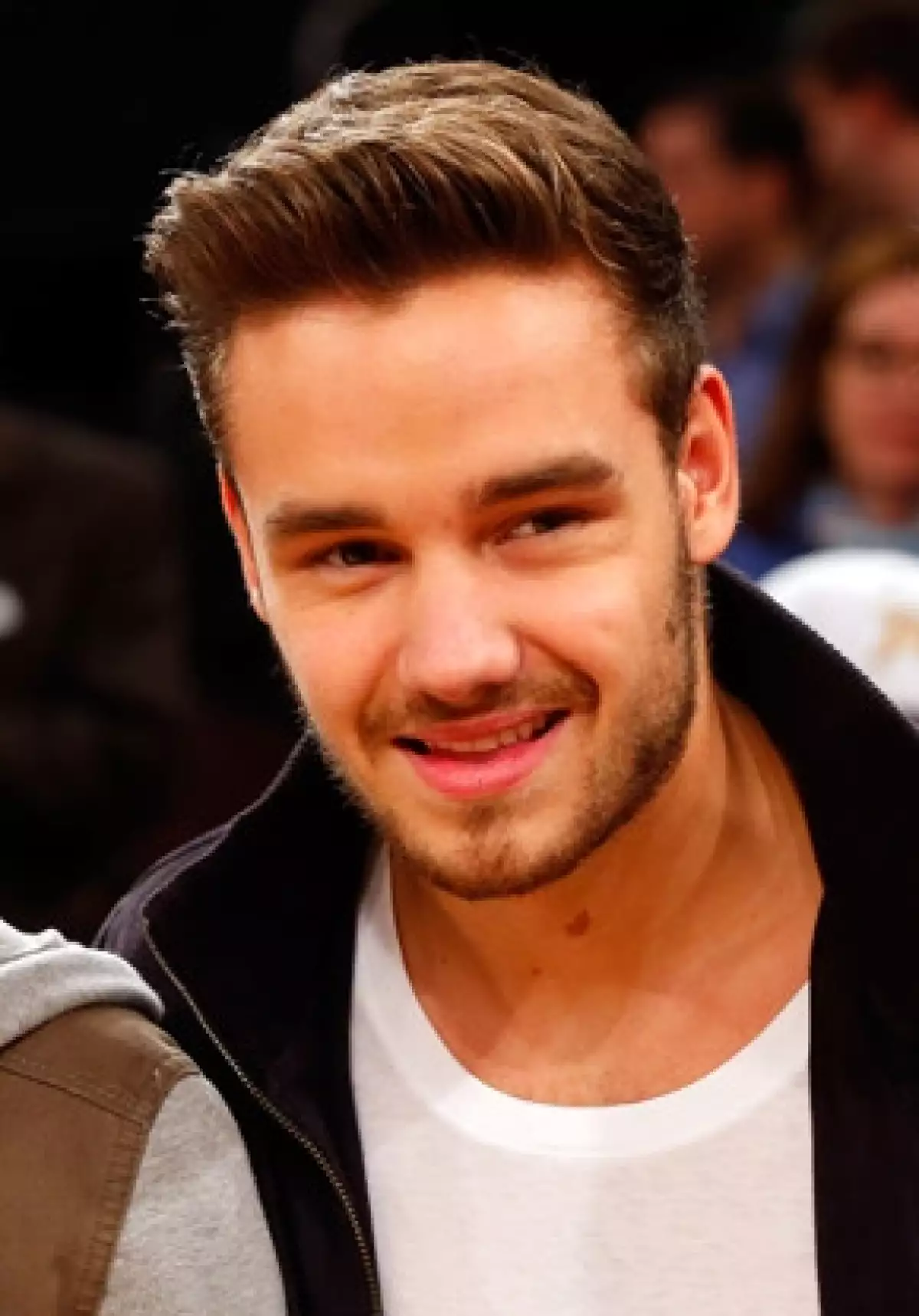 El integrante de One Direction fue fotografiado mientras caminaba por el borde de un piso 34 en Londres. Ante esto, sus fans se asutaron y lo criticaron.