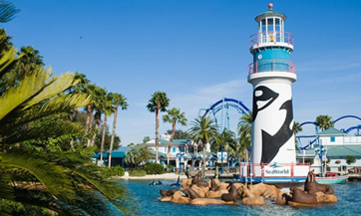 SeaWorld se hizo famosa por la orca ‘Shamu’, que murió en 1971. (Foto tomada de facebook.com/SeaWorld)