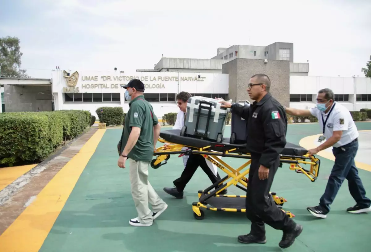 Día Mundial del Trasplante de Órganos y Tejidos