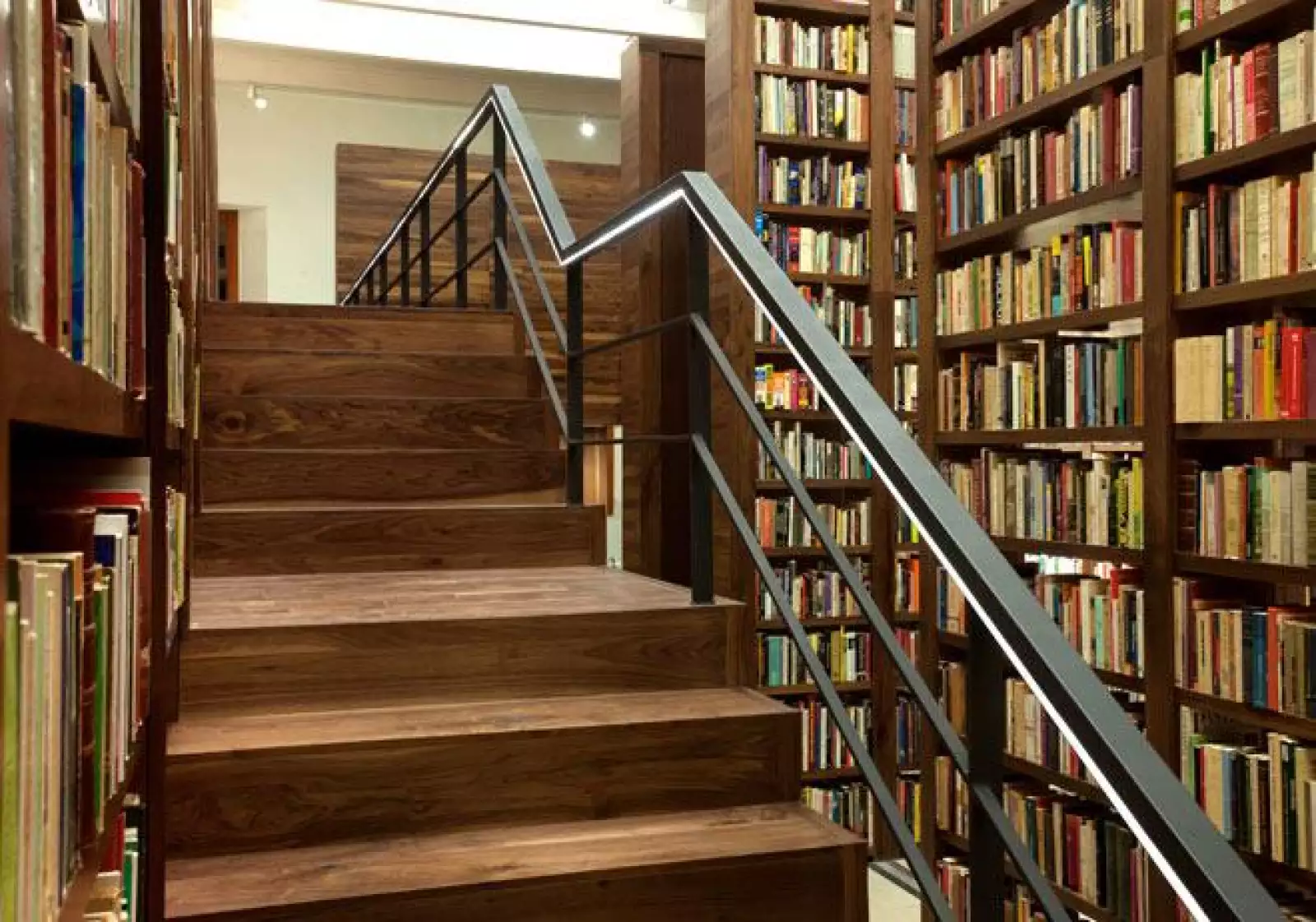 Biblioteca Carlos Monsivais 09