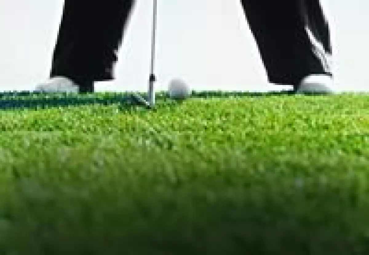 Con palos mexicanos, Aldila venderá 50% más.