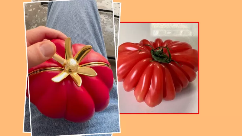 Jonathan Anderson hace realidad el meme del tomate Loewe convirtiéndolo en bolsa