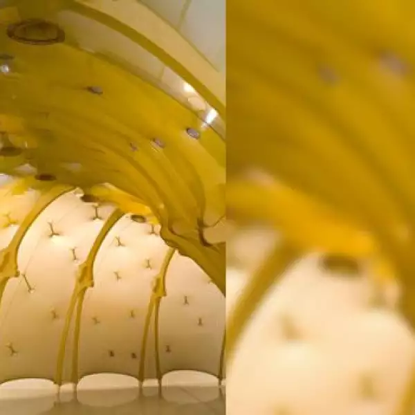 El mundo sensorial del brasileño Ernesto Neto