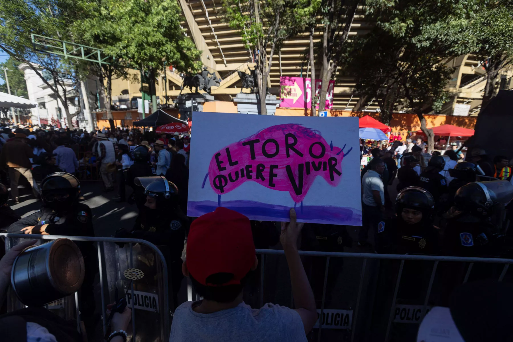 corridas-toros-consulta.jpg