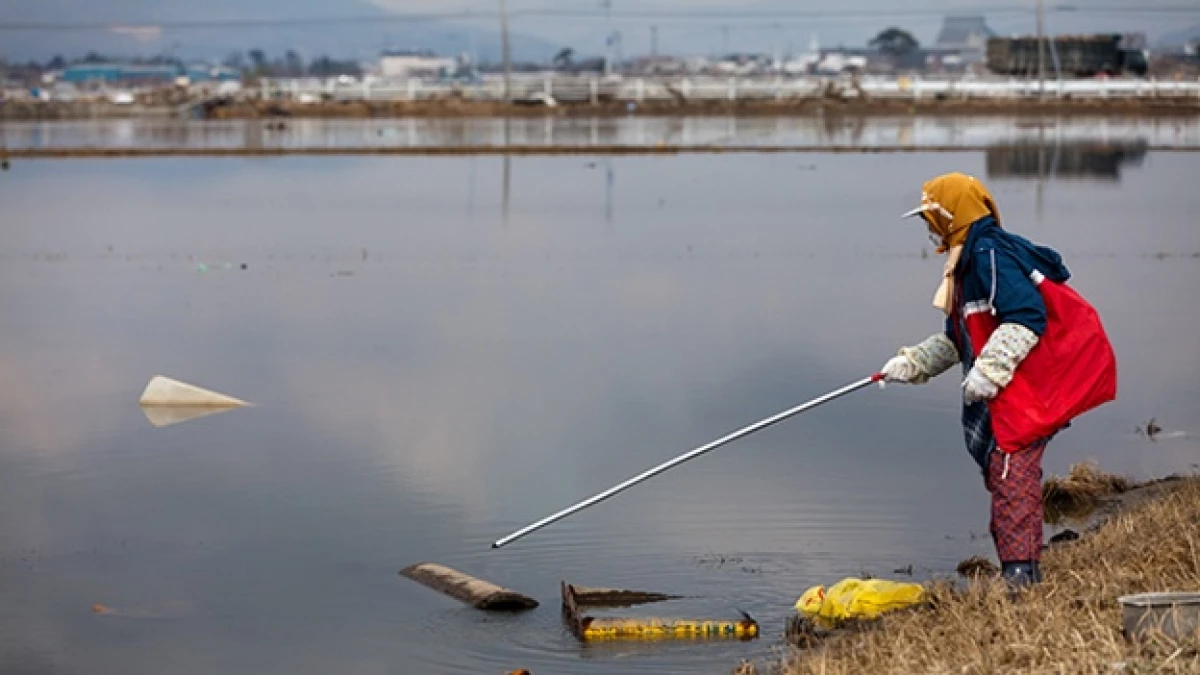 contaminacion mar fukushima