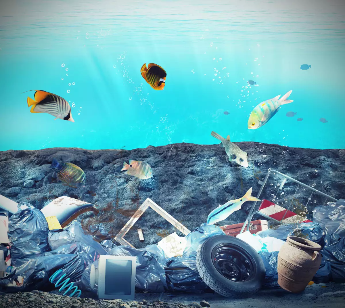 Contaminación