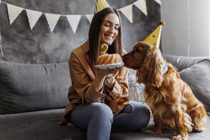 ¿Cuánto cuesta tener una mascota consentida en México? Hay spa y hasta gimnasios