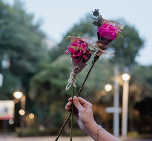 FLORES-VANDALIZAR-CDMX