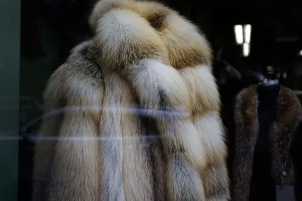 New York City Council Considers City Wide Ban On Fur Sales