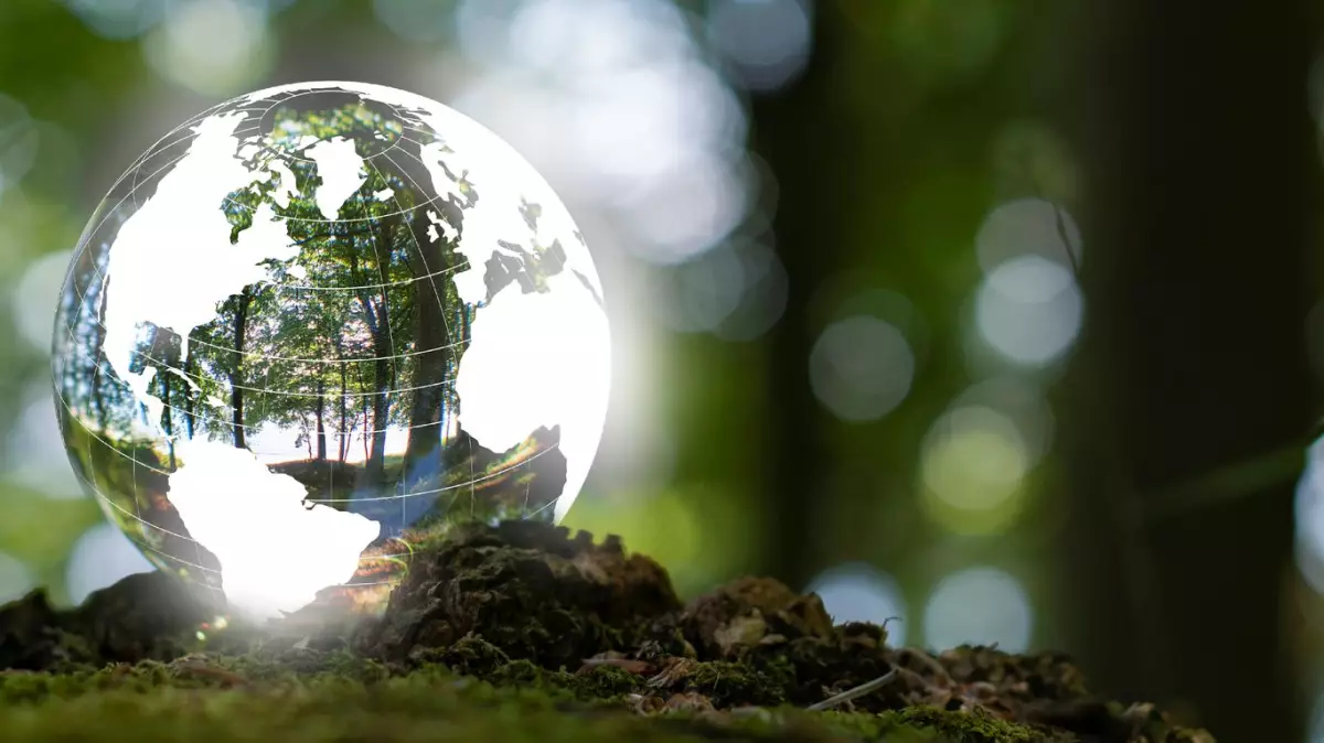 Biodiversidad, un desafío estratégico urgente para las empresas